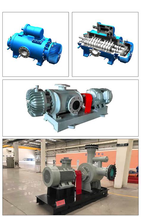 bornemann pump twin screw|twin screw surface pumps.